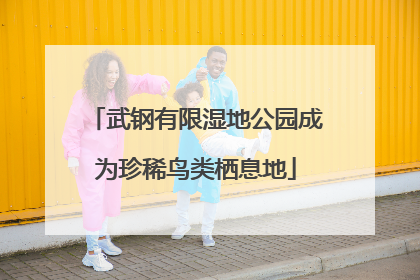 武钢有限湿地公园成为珍稀鸟类栖息地